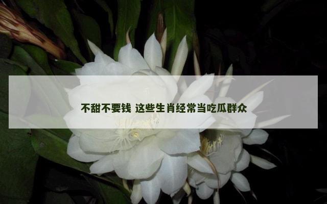 不甜不要钱 这些生肖经常当吃瓜群众