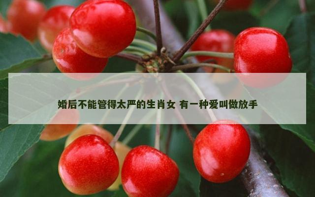 婚后不能管得太严的生肖女 有一种爱叫做放手