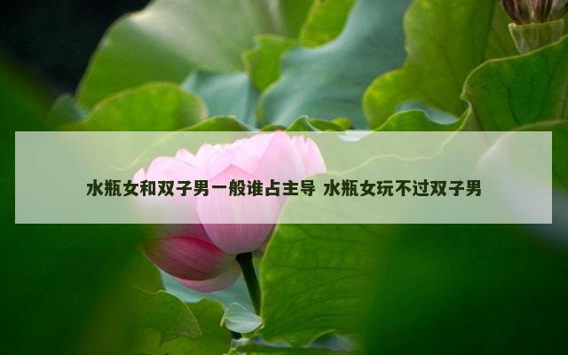水瓶女和双子男一般谁占主导 水瓶女玩不过双子男
