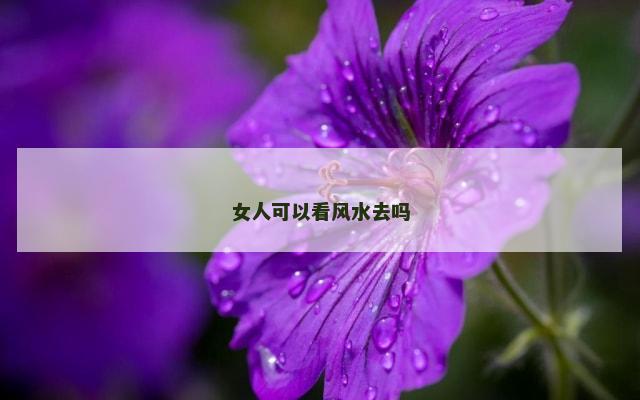 女人可以看风水去吗