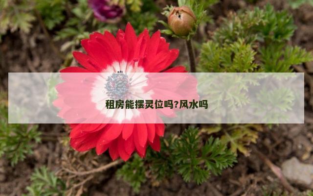 租房能摆灵位吗?风水吗