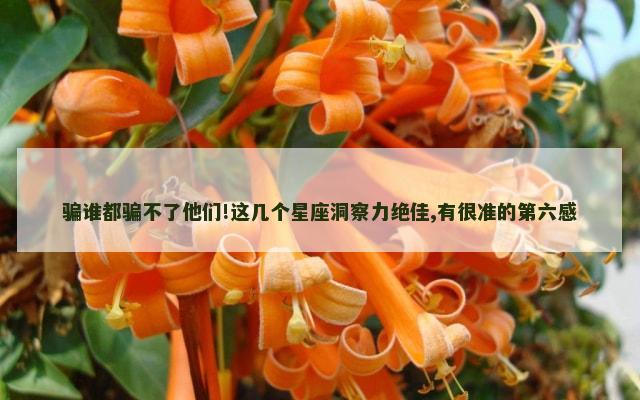 骗谁都骗不了他们!这几个星座洞察力绝佳,有很准的第六感