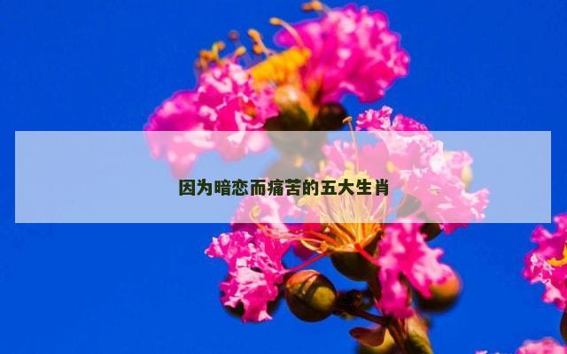 因为暗恋而痛苦的五大生肖