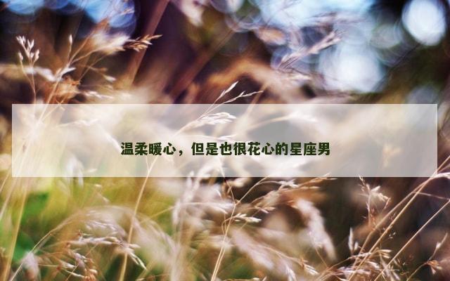 温柔暖心，但是也很花心的星座男
