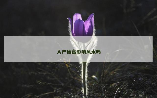 入户抬高影响风水吗