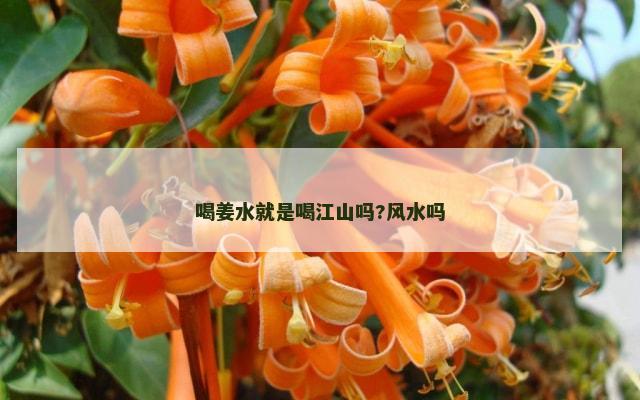 喝姜水就是喝江山吗?风水吗