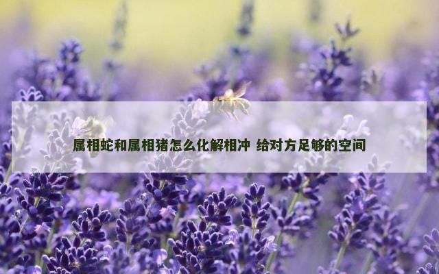 属相蛇和属相猪怎么化解相冲 给对方足够的空间