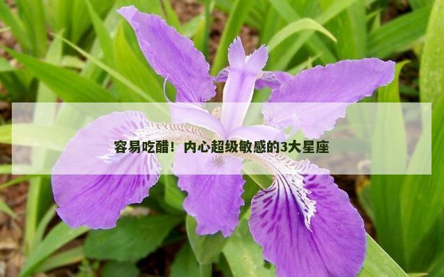 容易吃醋！内心超级敏感的3大星座