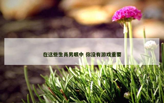 在这些生肖男眼中 你没有游戏重要