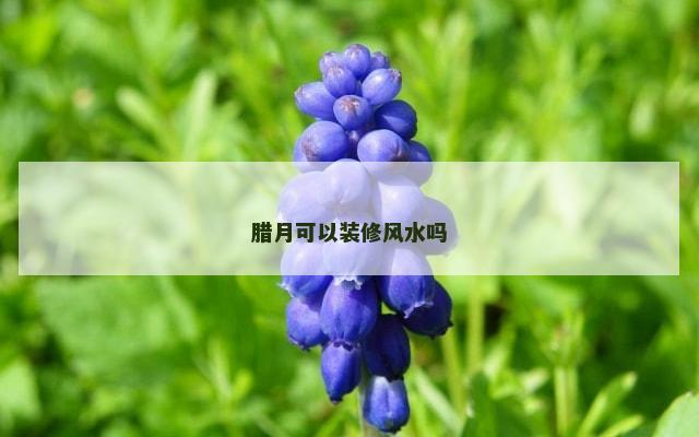 腊月可以装修风水吗