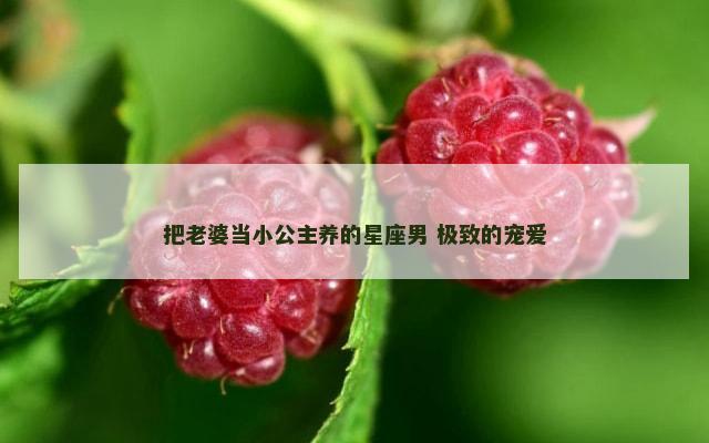把老婆当小公主养的星座男 极致的宠爱