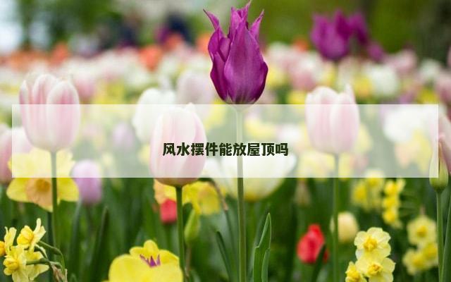 风水摆件能放屋顶吗