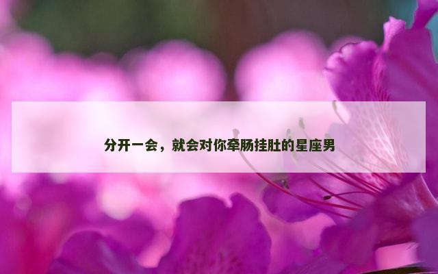分开一会，就会对你牵肠挂肚的星座男