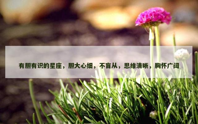 有胆有识的星座，胆大心细，不盲从，思维清晰，胸怀广阔