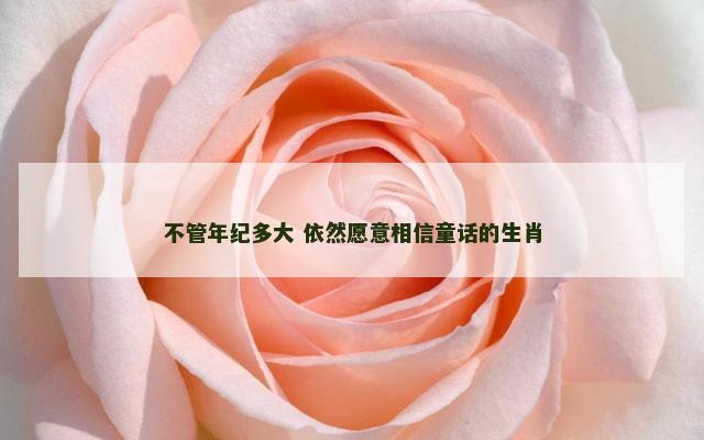 不管年纪多大 依然愿意相信童话的生肖