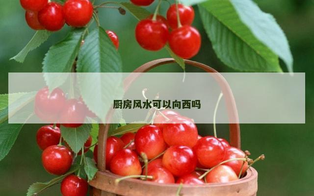 厨房风水可以向西吗