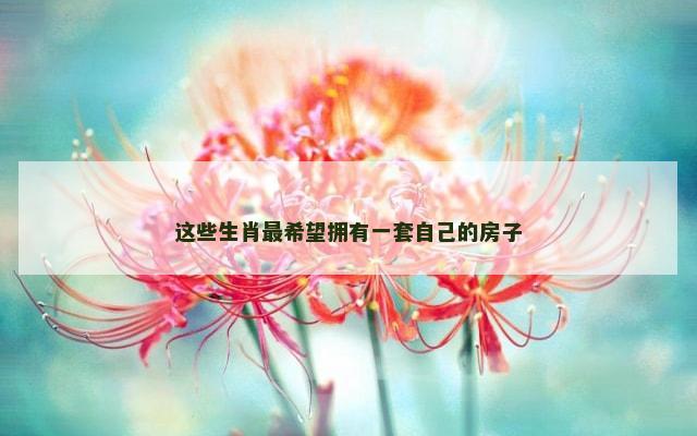 这些生肖最希望拥有一套自己的房子