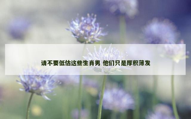 请不要低估这些生肖男 他们只是厚积薄发