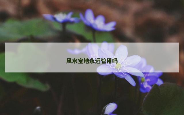 风水宝地永远管用吗
