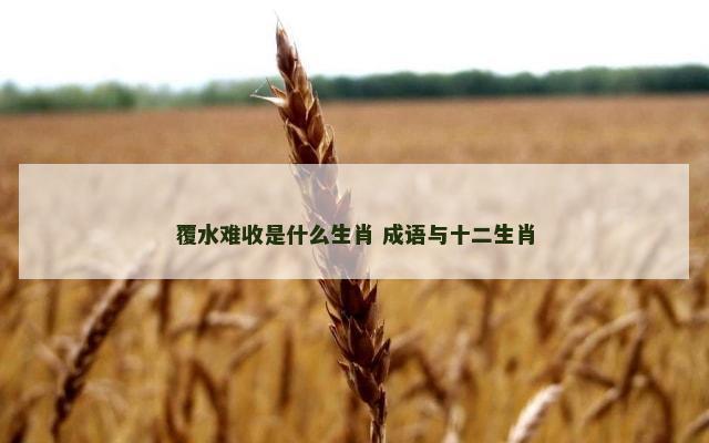 覆水难收是什么生肖 成语与十二生肖