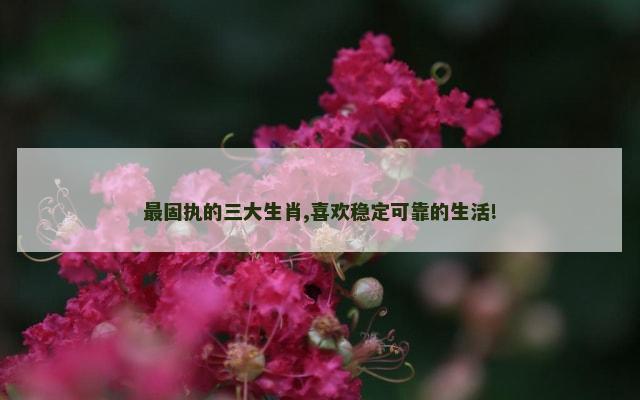 最固执的三大生肖,喜欢稳定可靠的生活!
