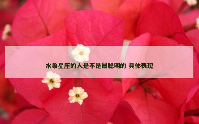 水象星座的人是不是最聪明的 具体表现