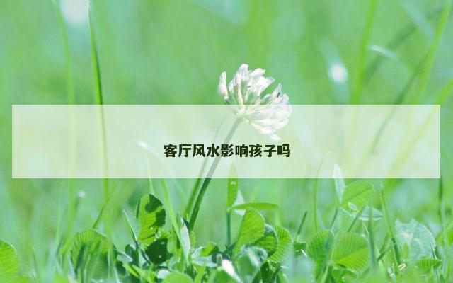 客厅风水影响孩子吗