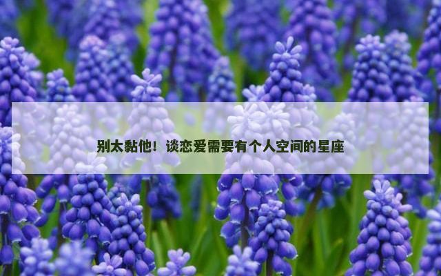 别太黏他！谈恋爱需要有个人空间的星座