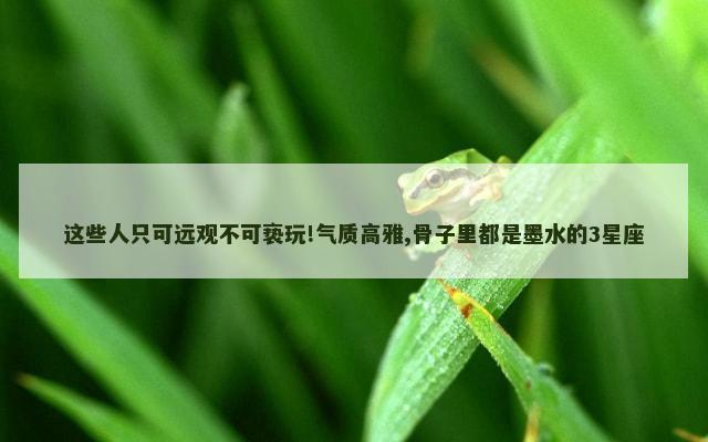 这些人只可远观不可亵玩!气质高雅,骨子里都是墨水的3星座