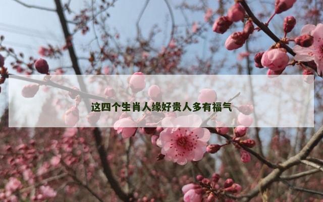 这四个生肖人缘好贵人多有福气