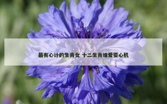 最有心计的生肖女 十二生肖谁爱耍心机