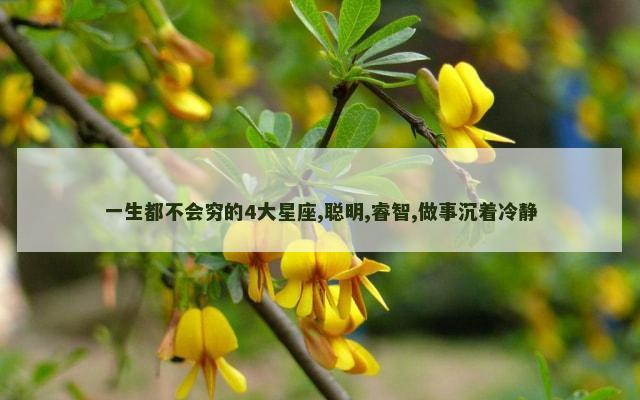 一生都不会穷的4大星座,聪明,睿智,做事沉着冷静