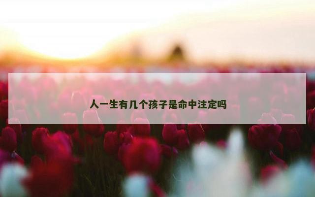 人一生有几个孩子是命中注定吗