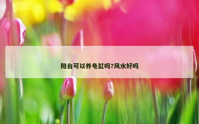 阳台可以养龟缸吗?风水好吗