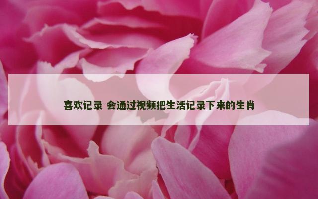 喜欢记录 会通过视频把生活记录下来的生肖