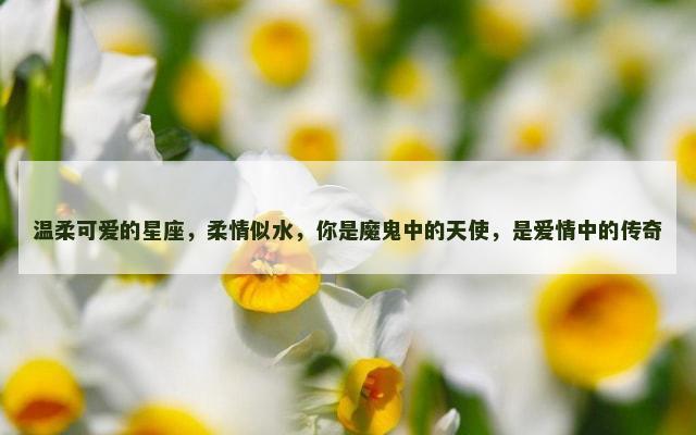 温柔可爱的星座，柔情似水，你是魔鬼中的天使，是爱情中的传奇
