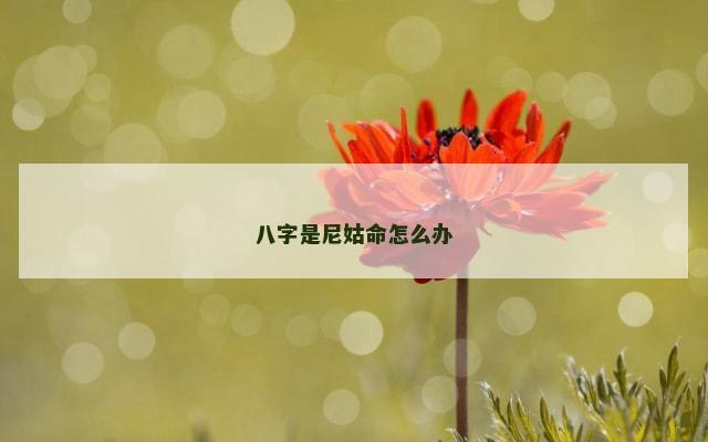 八字是尼姑命怎么办
