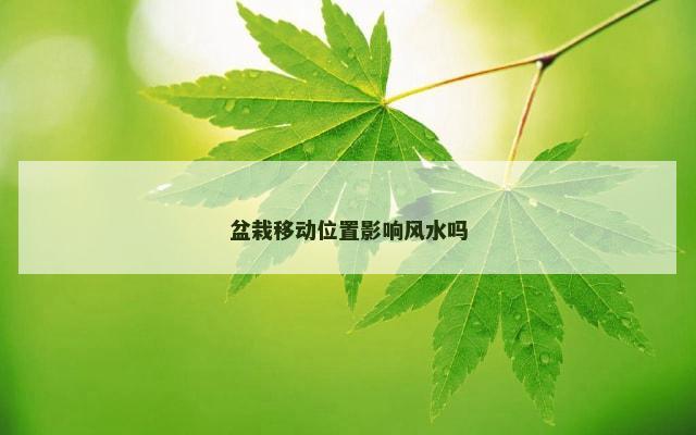 盆栽移动位置影响风水吗