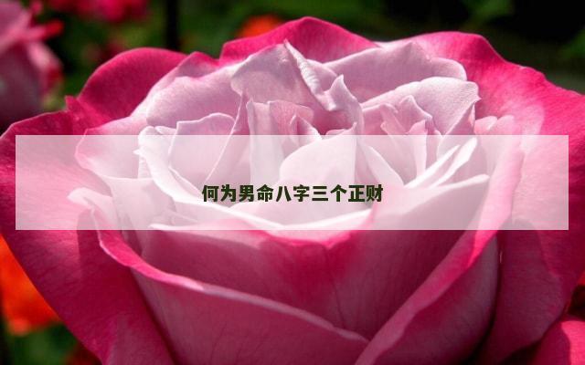 何为男命八字三个正财