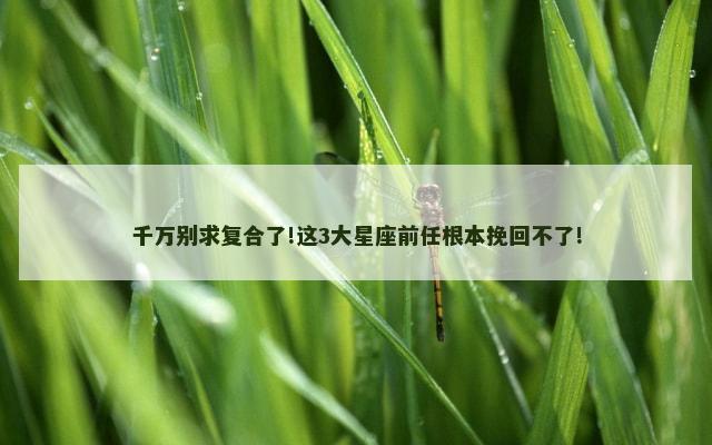 千万别求复合了!这3大星座前任根本挽回不了!