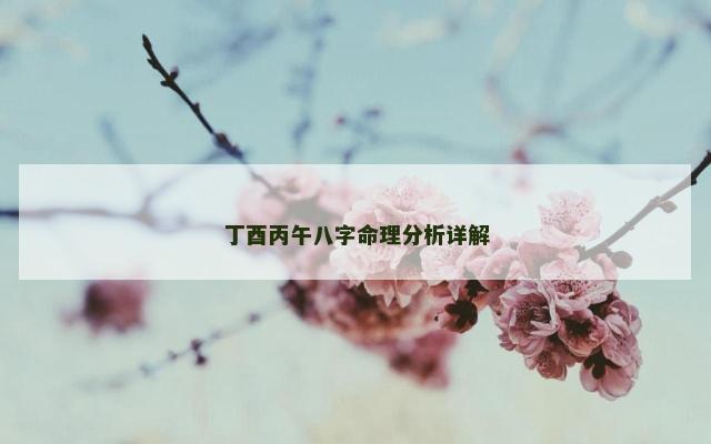 丁酉丙午八字命理分析详解