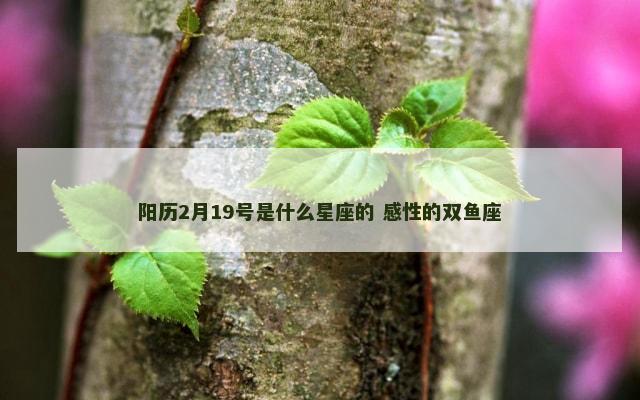 阳历2月19号是什么星座的 感性的双鱼座