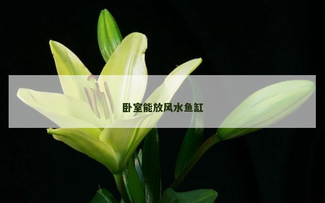 卧室能放风水鱼缸