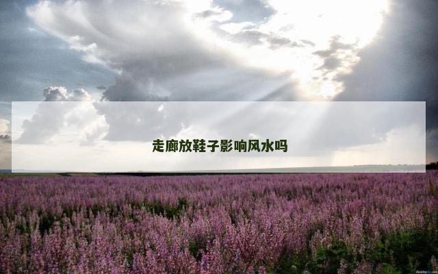 走廊放鞋子影响风水吗