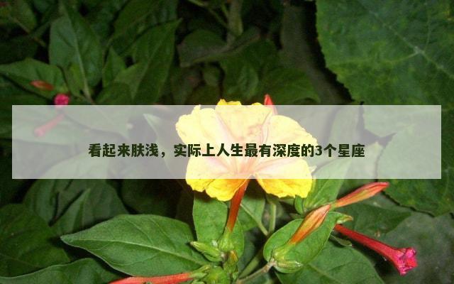 看起来肤浅，实际上人生最有深度的3个星座
