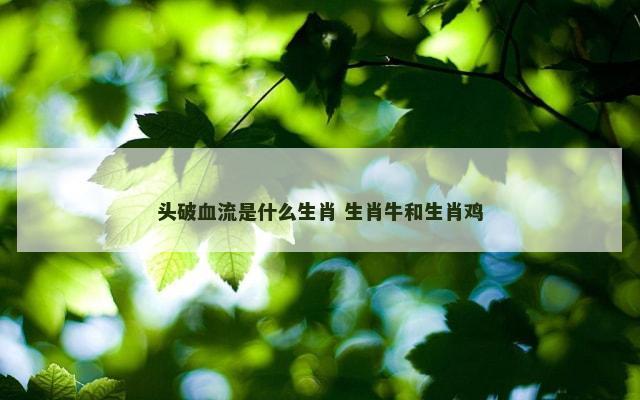 头破血流是什么生肖 生肖牛和生肖鸡