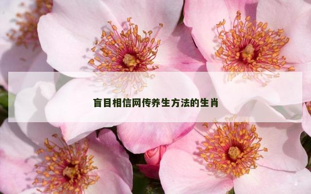 盲目相信网传养生方法的生肖