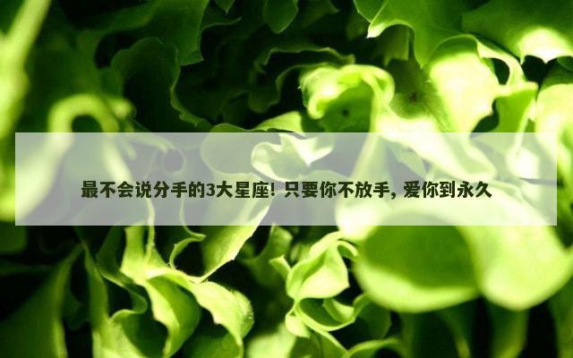 最不会说分手的3大星座! 只要你不放手, 爱你到永久