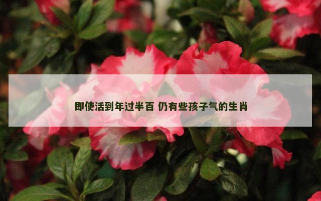 即使活到年过半百 仍有些孩子气的生肖