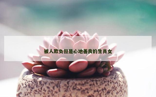 被人欺负但是心地善良的生肖女
